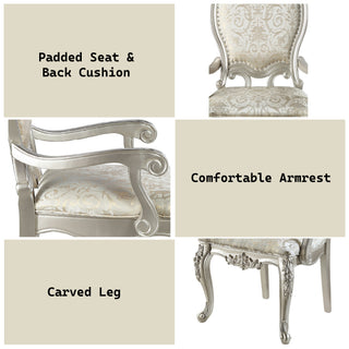Sunvega Fabric Upholstered Arm Chair with Champagne Finish and Padded Cushions Set of 2