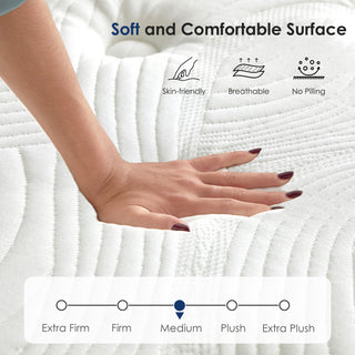 Sunvega 12 Inch Hybrid Queen Mattress with Pocket Springs and Memory Foam Support
