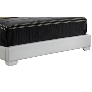 Sunvega Sleek Black Full Bed Frame with Chic Finish for Casual Elegance