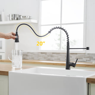 Sunvega Brushed Nickel Single Handle Kitchen Faucet with Pull Out Sprayer