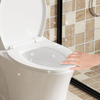 Sunvega Light Grey Elongated One-Piece Toilet with Dual Flush and Soft Closing Seat