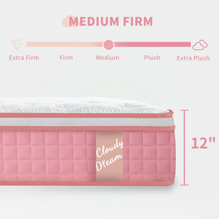 Sunvega Queen 12 Inch Hybrid Mattress with Cooling Cover and Edge Support