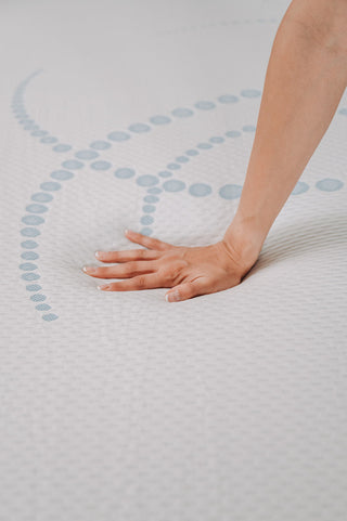 Sunvega 8 Inch Memory Foam Mattress with 6 Inch High Density Base Foam