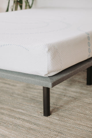 Sunvega 8 Inch Memory Foam Mattress with 6 Inch High Density Base Foam