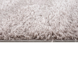 Sunvega Super Soft Plush Polyester Shag Area Rug for High-Traffic Areas