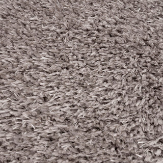 Sunvega Super Soft Plush Polyester Shag Area Rug for High-Traffic Areas