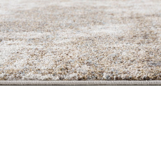 Sunvega Abstract Plush Shag Area Rug with Soft Pile for High Traffic