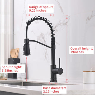Sunvega Single Handle Pull Out Kitchen Faucet in Black Stainless Steel