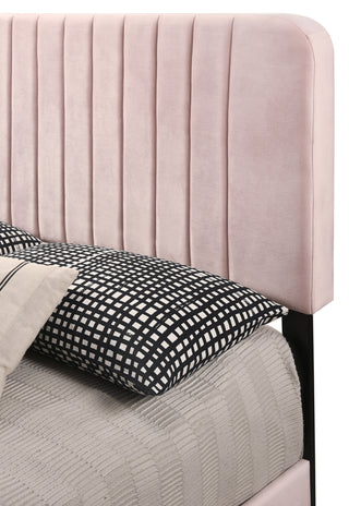 Sunvega Full Bed with Chic Tufted Headboard and Vibrant Blue Hue in One Box