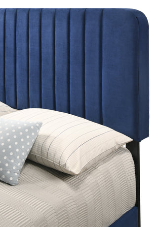 Sunvega Full Bed with Chic Tufted Headboard and Vibrant Blue Hue in One Box