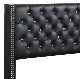 Sunvega Elegant Black Upholstered Queen Bed Frame with Durable Construction