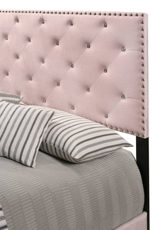 Sunvega Bold Pink Transitional King Bed for Comfortable Nightly Support
