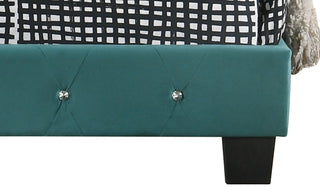 Sunvega Soft Green Transitional Style King Bed for Your Bedroom