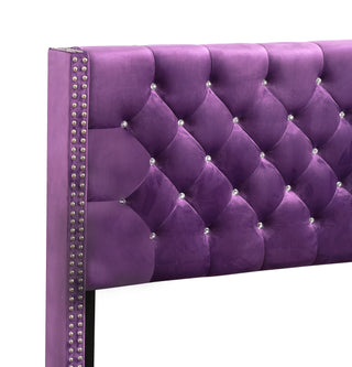 Sunvega Vibrant Purple Upholstered Full Bed with Transitional Design and Sturdy Frame
