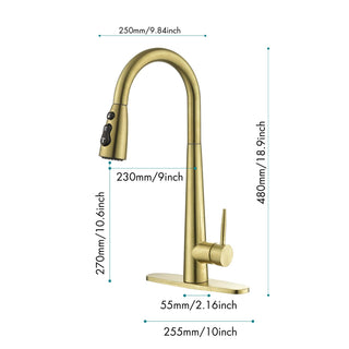 Sunvega Single Handle Stainless Steel Kitchen Sink Faucet with Pull Down Sprayer