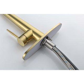 Sunvega Single Handle Stainless Steel Kitchen Sink Faucet with Pull Down Sprayer