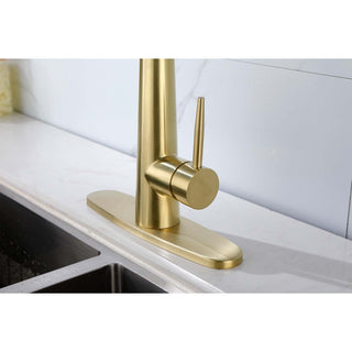 Sunvega Single Handle Stainless Steel Kitchen Sink Faucet with Pull Down Sprayer