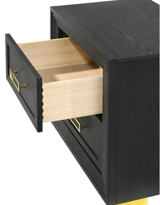 Sunvega Glam Style Black Nightstand with Gold Metal Hardware and Two Drawers