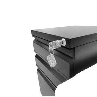 Sunvega 2 Drawer Mobile File Cabinet with Lock for Legal Letter A4 Size