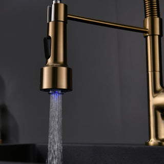 Sunvega Gold Single Handle Pull Down Sprayer Kitchen Sink Faucet