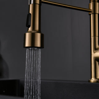 Sunvega Gold Single Handle Pull Down Sprayer Kitchen Sink Faucet