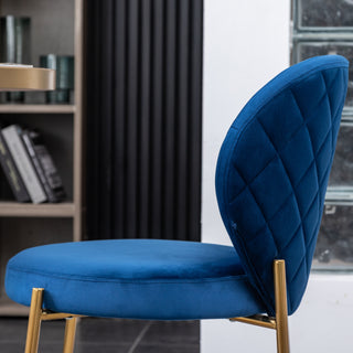 Sunvega Contemporary Velvet Upholstered Dining Chairs with Gold Metal Frame, Set of 2