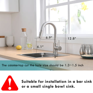 Sunvega Brushed Nickel Pull Out Kitchen Sink Faucet with Single Handle