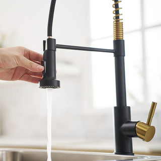 Sunvega Black and Nickel Gold Kitchen Faucet with Pull Out Sprayer
