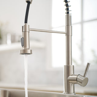 Sunvega Black and Nickel Gold Kitchen Faucet with Pull Out Sprayer