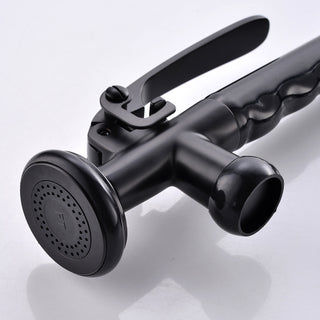 Sunvega Pull Down Kitchen Faucet with Sprayer in Black and Nickel Finish