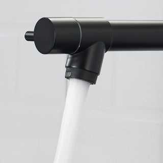 Sunvega Matte Black Commercial Kitchen Faucet with Pull Down Sprayer