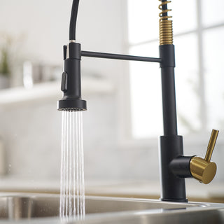 Sunvega Black and Nickel Gold Kitchen Faucet with Pull Out Sprayer