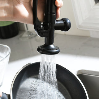 Sunvega Pull Down Kitchen Faucet with Sprayer in Black and Nickel Finish