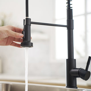 Sunvega Black and Nickel Gold Kitchen Faucet with Pull Out Sprayer