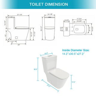 Sunvega Modern One Piece Toilet with Soft Closing Seat and Powerful Flushing