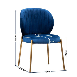 Sunvega Contemporary Velvet Upholstered Dining Chairs with Gold Metal Frame, Set of 2