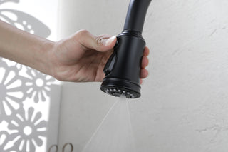 Sunvega Single Handle High Arc Pull Down Sprayer Kitchen Faucet with Sleek Design