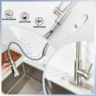 Sunvega High Arc Single Handle Stainless Steel Kitchen Faucet with Pull Down Sprayer