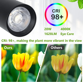 Sunvega Full Spectrum 20W COB Grow Light Stand for Indoor Plants with 4/8/12H Timer