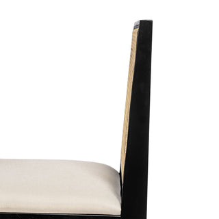 Sunvega Natural Rattan Dining Chairs with Perforated Design Set of 2 for Living Room
