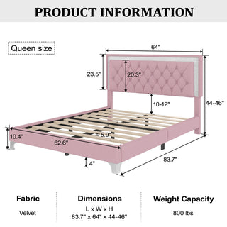 Sunvega Queen Size Upholstered Velvet Bed Frame with LED Lights and Tufted Headboard
