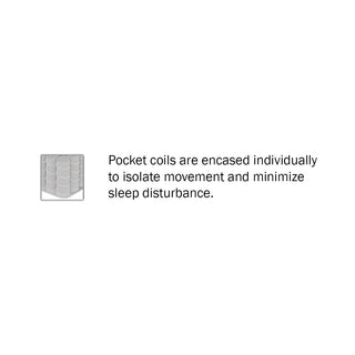 Sunvega 12-inch Queen Plush Foam Hybrid Mattress with Breathable Quilted Cover for Medium Comfort