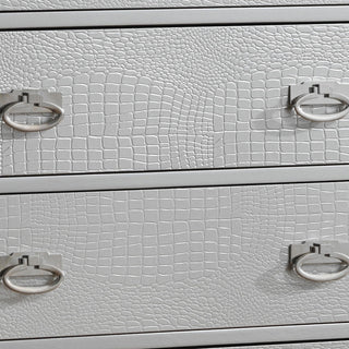 Sunvega Elegant Contemporary Storage Chest with Chic Silver Champagne Finish