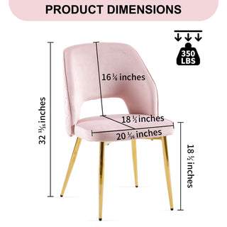 Sunvega Modern Gray Velvet Dining Chairs with Hollow Back and Gold Metal Legs Set of 4
