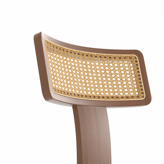 Sunvega Mid Century Modern Dining Chairs Set of 2 with Solid Wood and Rattan Net Back