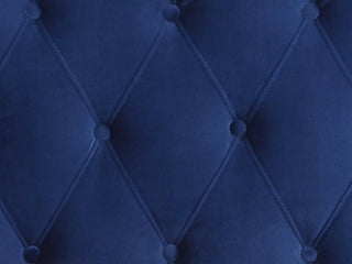 Sunvega Navy Blue Queen Upholstered Bed with Transitional Style for Bedroom