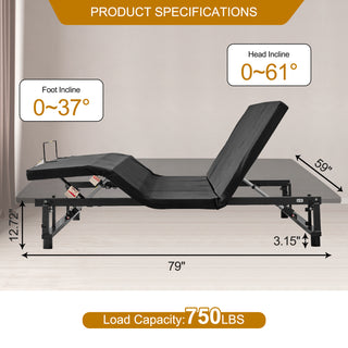 Sunvega Adjustable Queen Bed Frame with Wireless Remote Head Foot Incline USB Ports