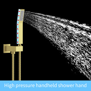 Sunvega Wall Mounted Shower System Combo Set with 10 Inch Rainfall and Handheld Faucet