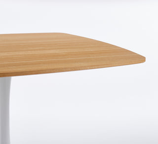 Sunvega Mid-Century Modern Tulip Dining Table with Sturdy Metal Base for 4-6 Person