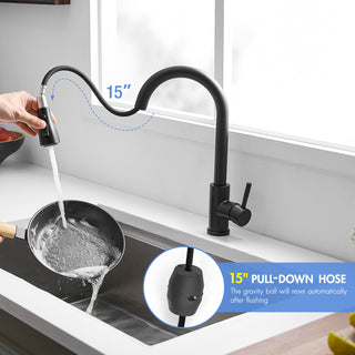 Sunvega Single Handle Kitchen Sink Faucet with Pull Out Sprayer and Deck Plate